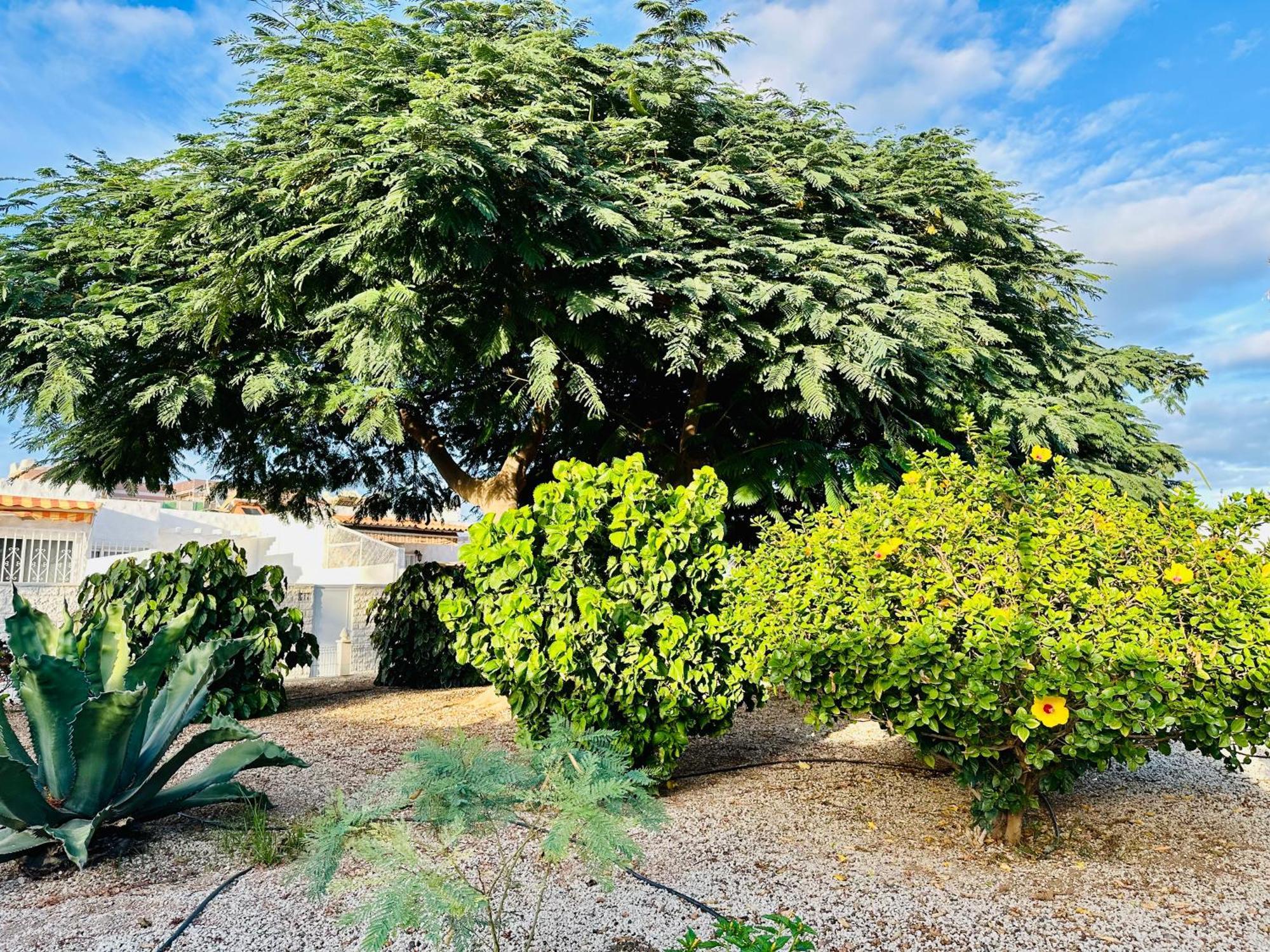 Casa Una Bungalow Delux Arona (Tenerife) Exterior foto